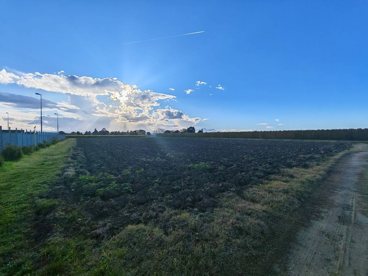 immagine annuncio 2 di 6