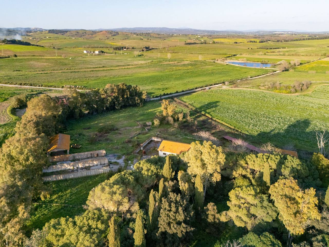 immagine annuncio 12 di 13