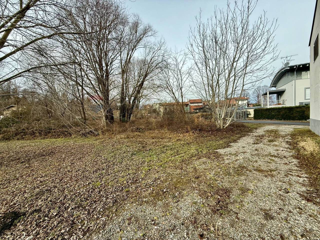 immagine annuncio 2 di 6