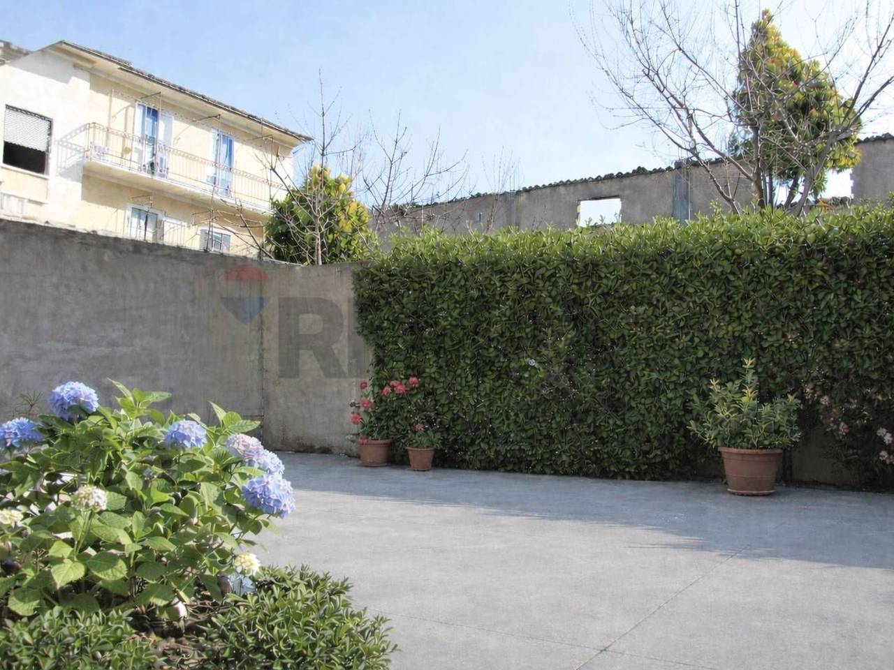 immagine annuncio 6 di 8