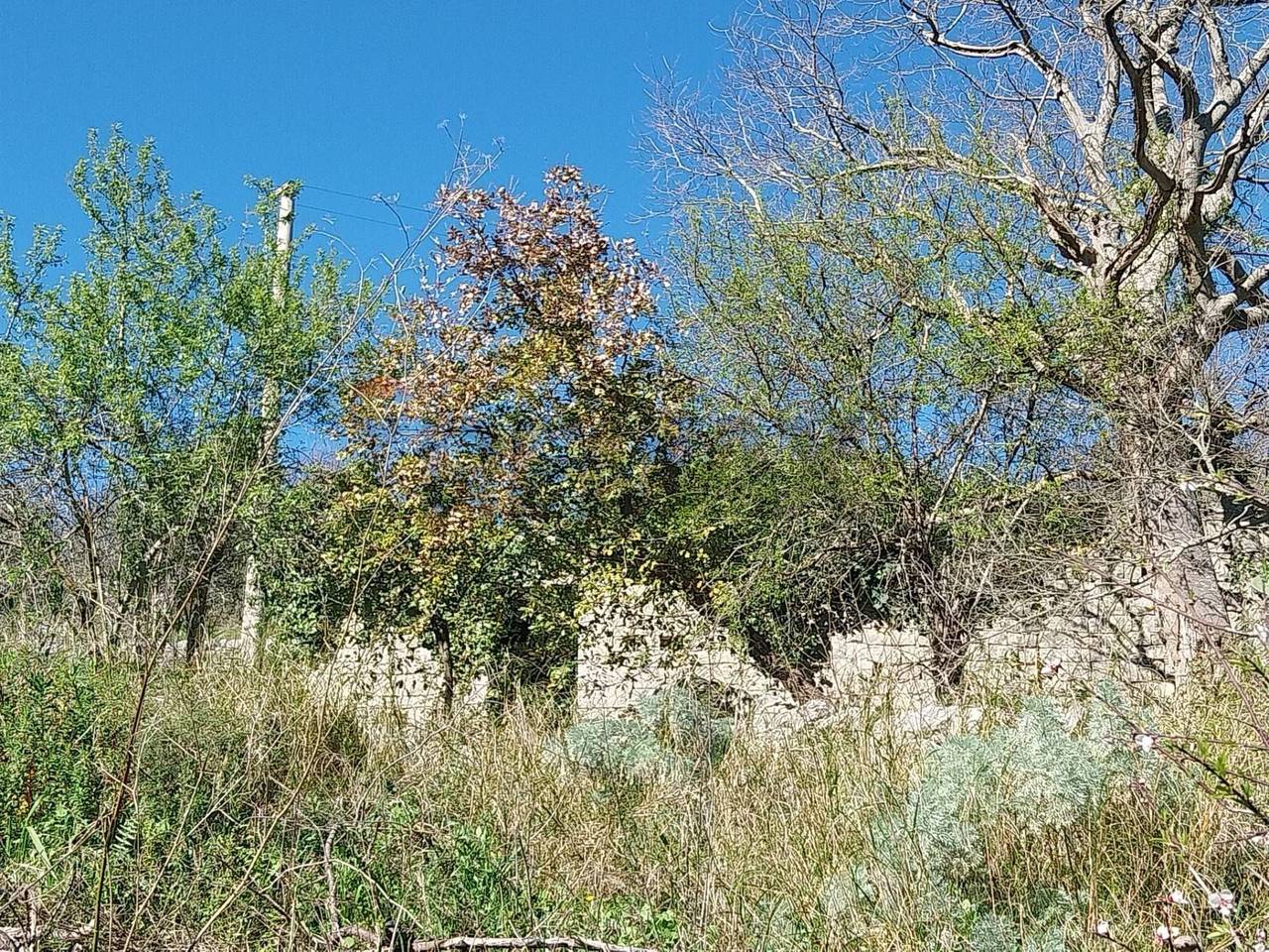 immagine annuncio 8 di 14