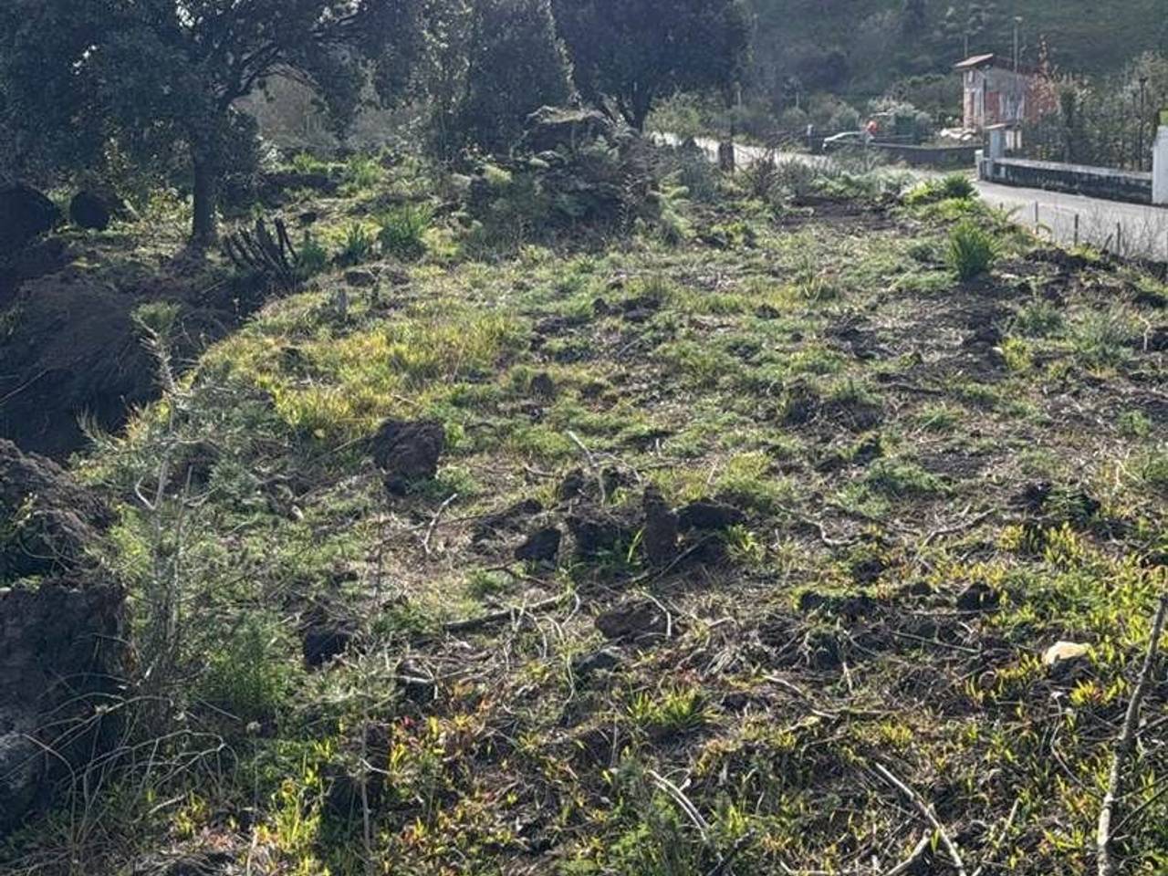 immagine annuncio 6 di 14