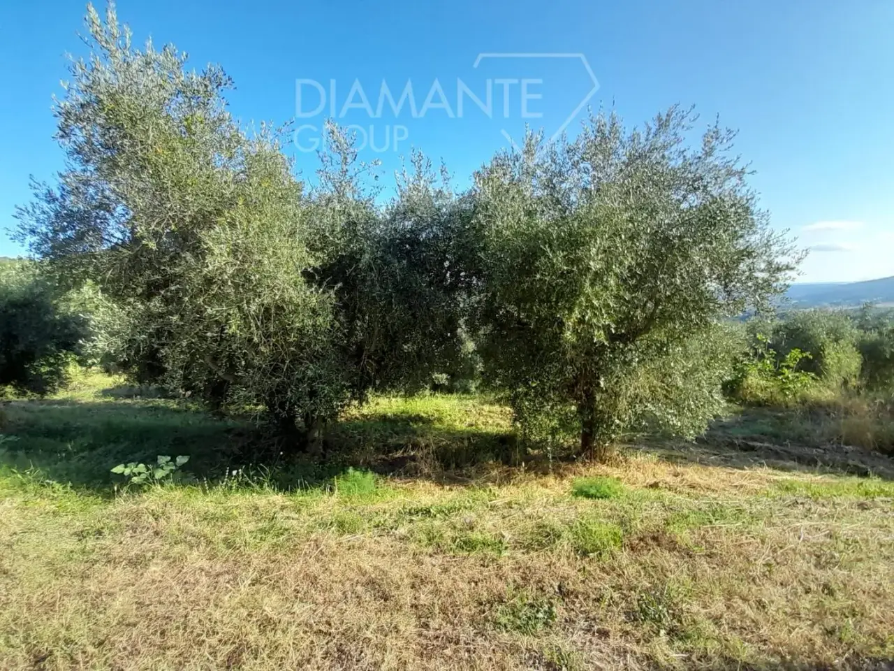 Azienda agricola in , Panicale, {3} - Foto 2