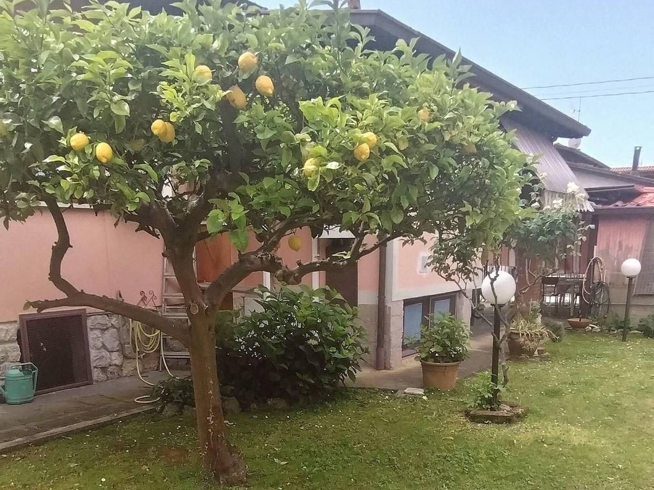 immagine annuncio 6 di 15