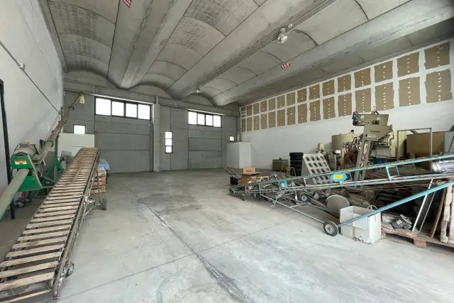 insertion image