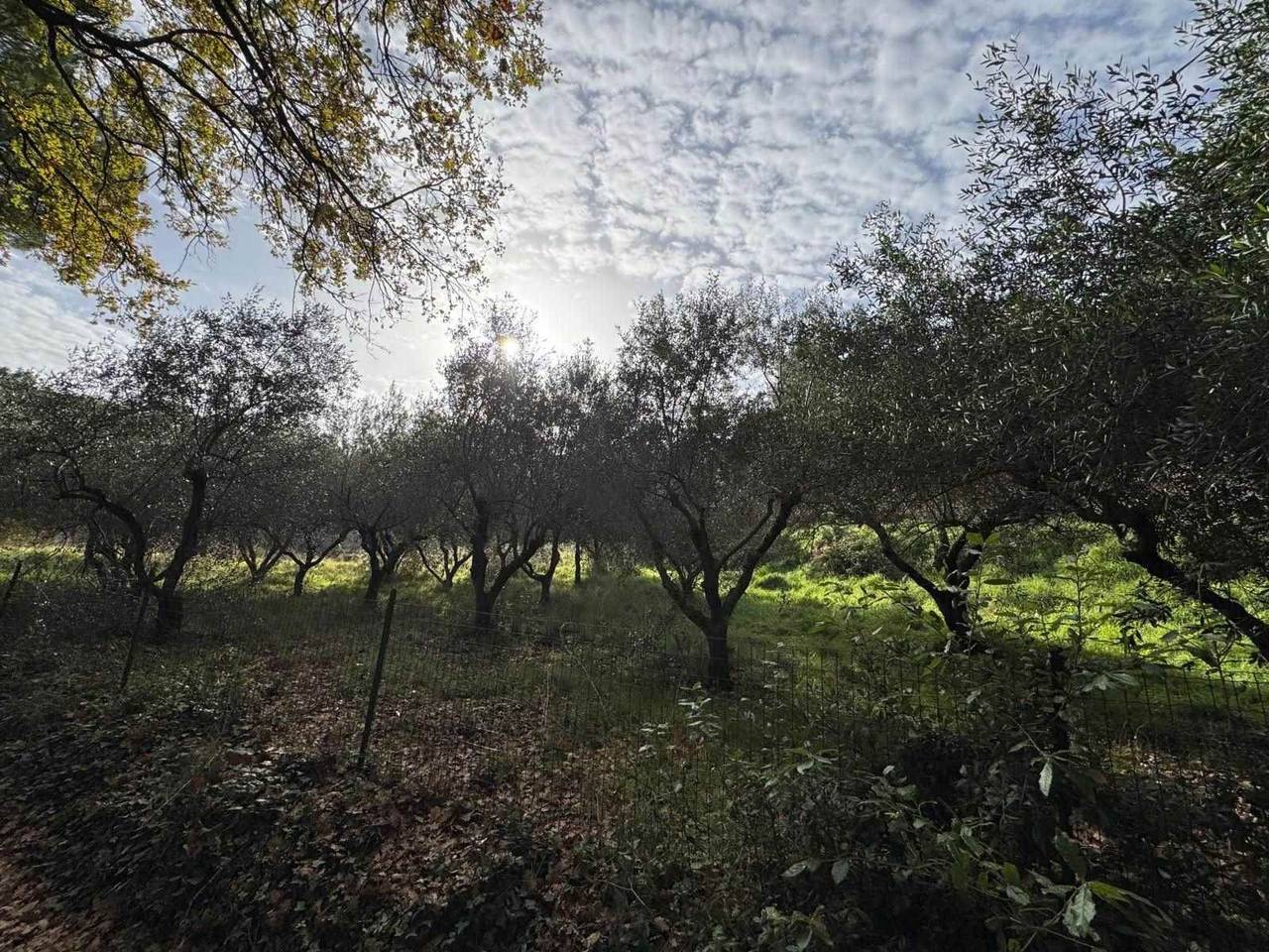 immagine annuncio 6 di 8