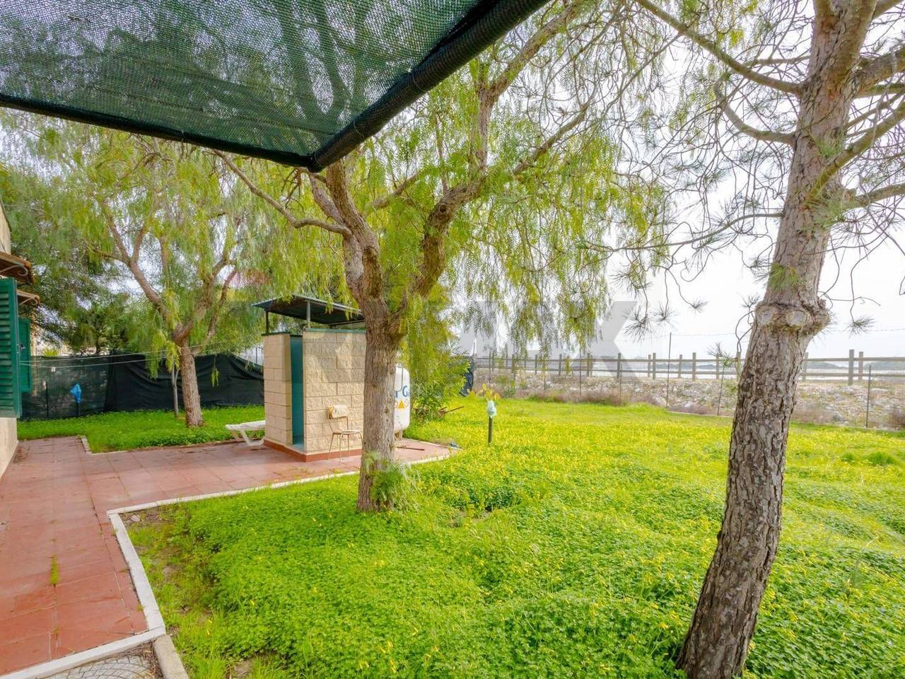 immagine annuncio 9 di 13