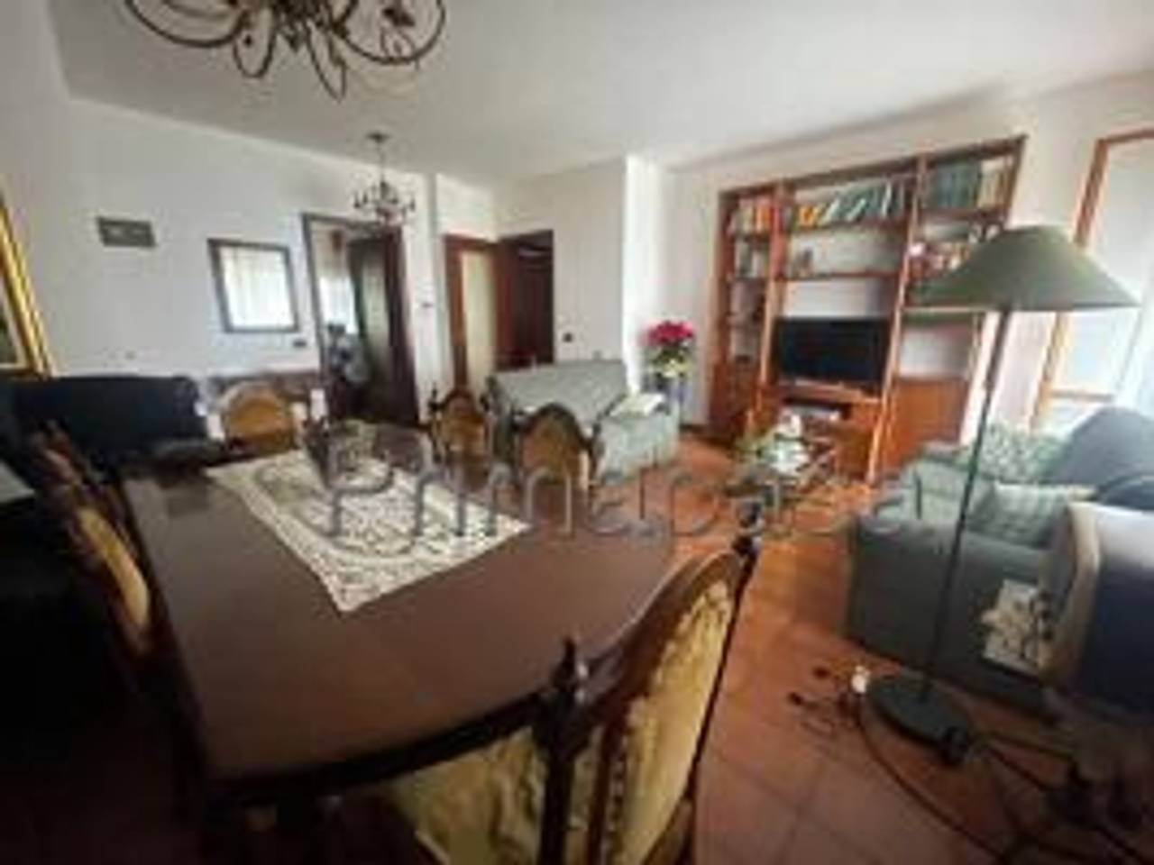 immagine annuncio 5 di 14