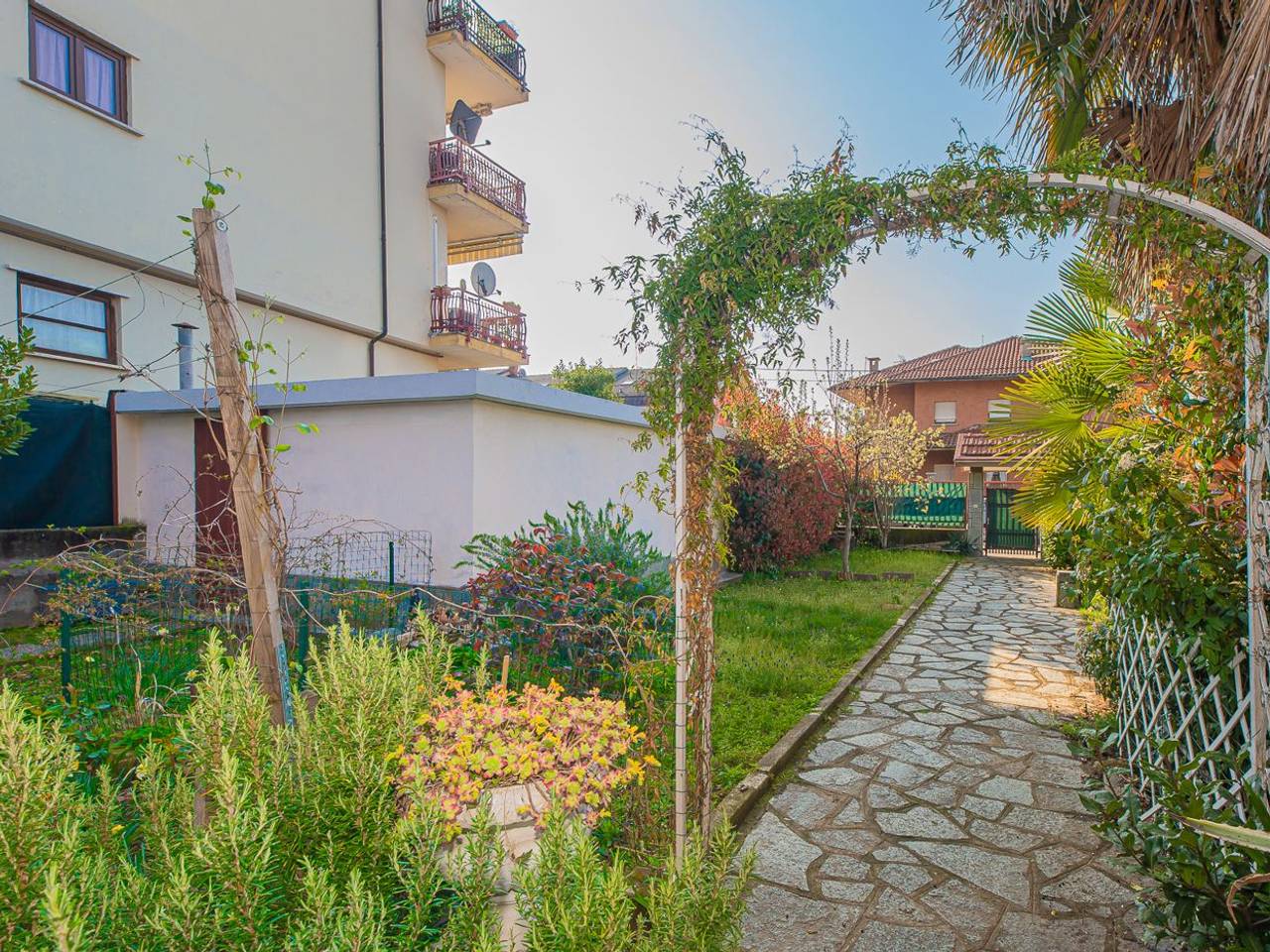 immagine annuncio 3 di 15