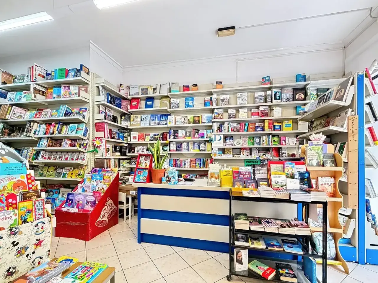 Negozio in Via Giuseppe Garibaldi 8, Livorno, {3} - Foto 1