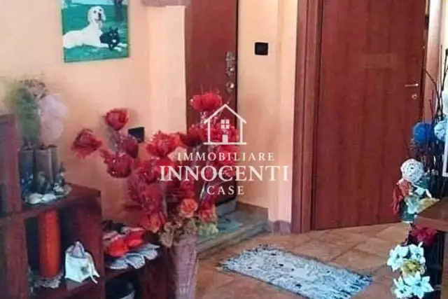 insertion image