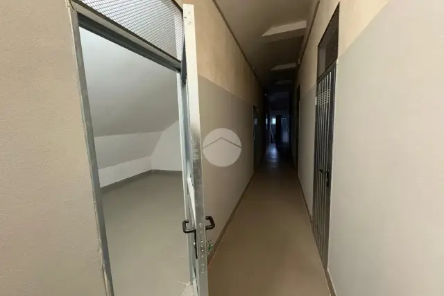 insertion image