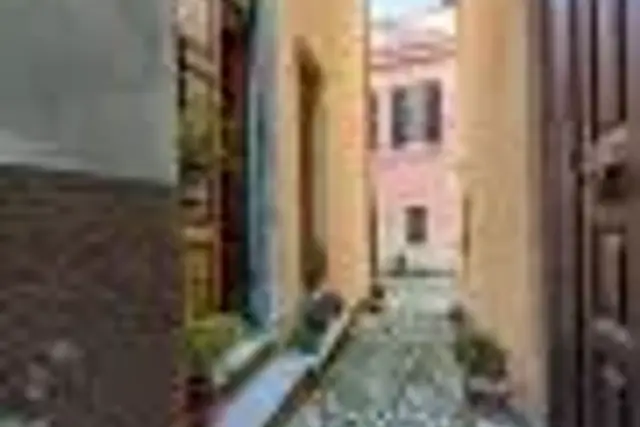 insertion image