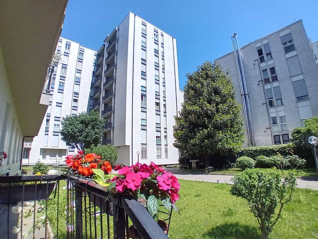 immagine annuncio 1 di 15