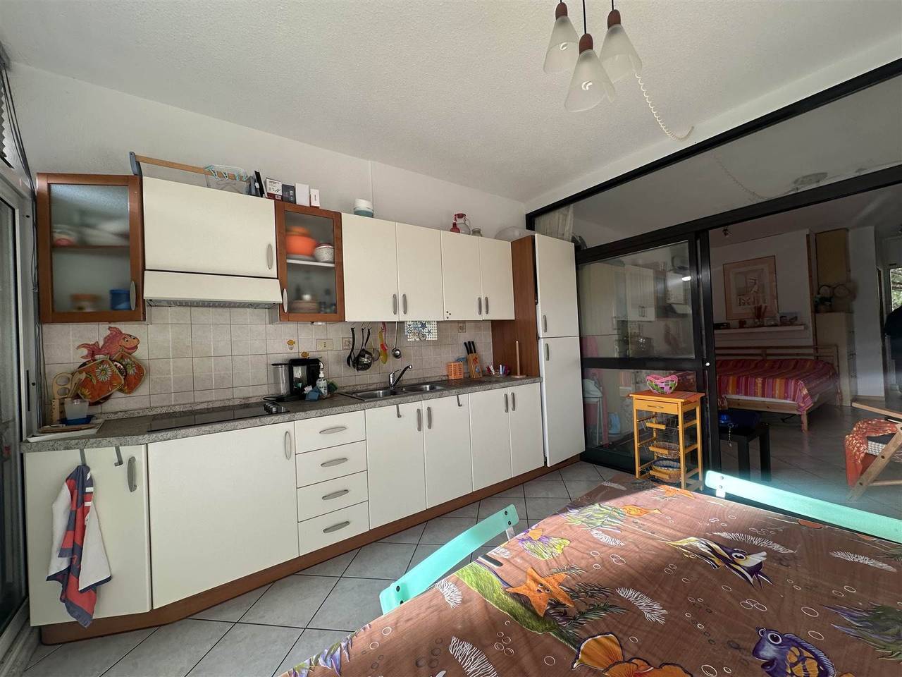 immagine annuncio 3 di 13