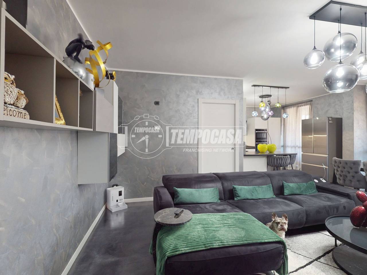 immagine annuncio 4 di 15