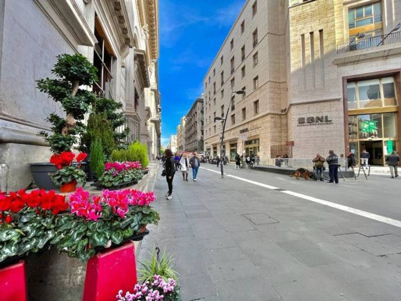 immagine annuncio 14 di 15