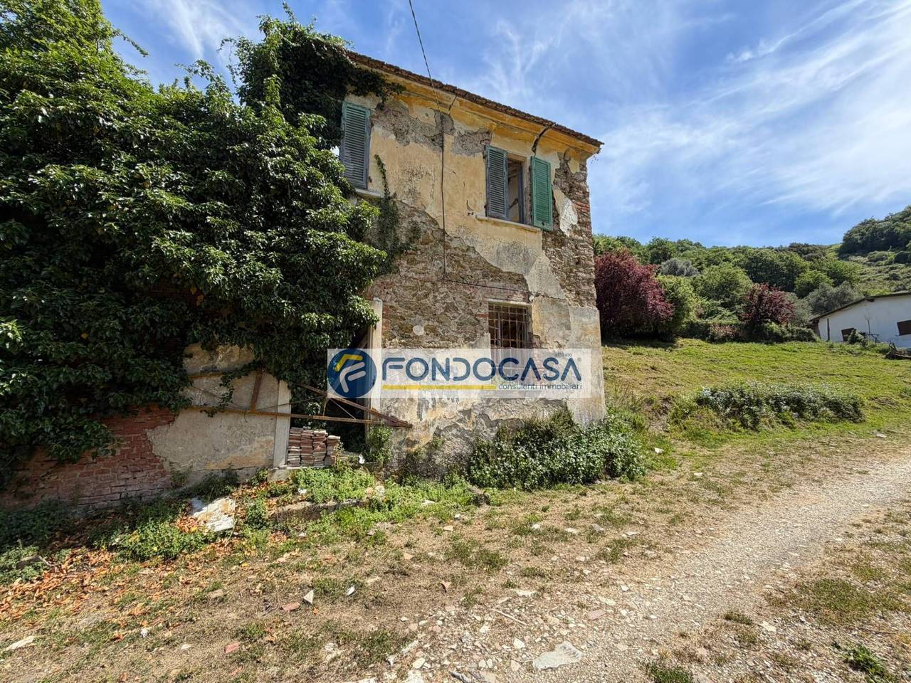 immagine annuncio 4 di 12