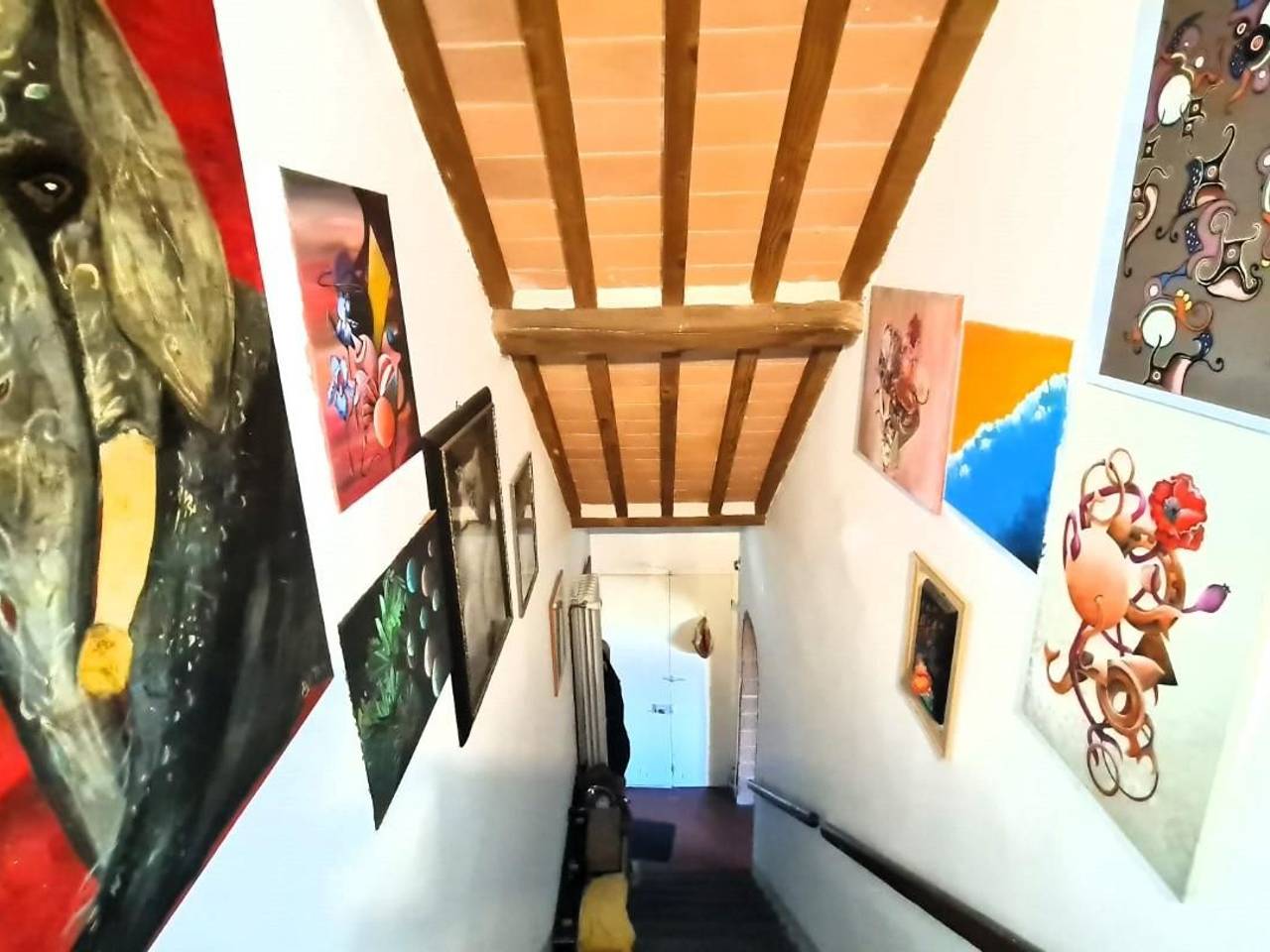 immagine annuncio 7 di 13