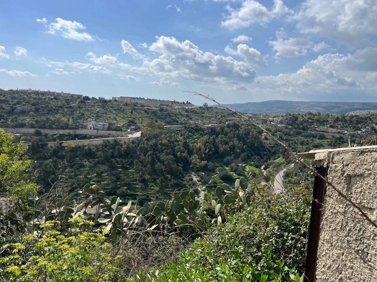 immagine annuncio 4 di 14