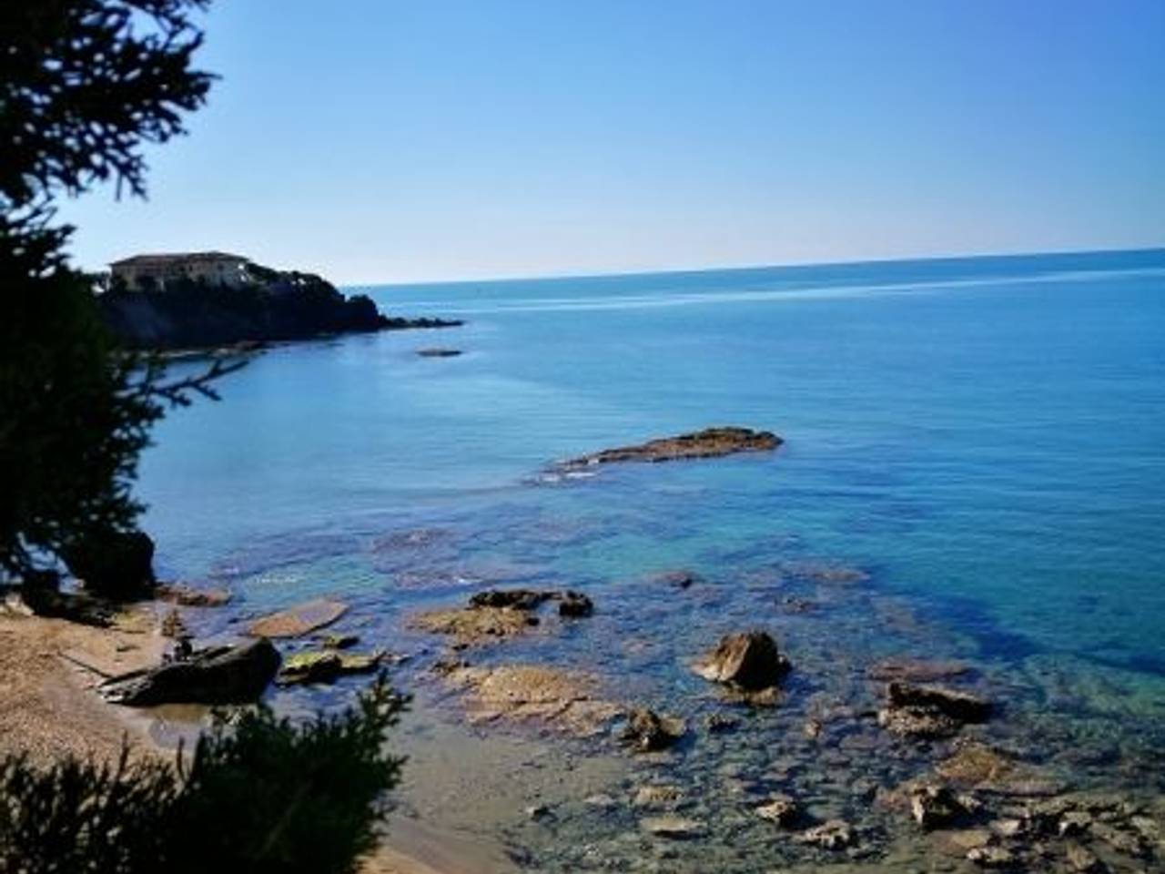 immagine annuncio 8 di 12