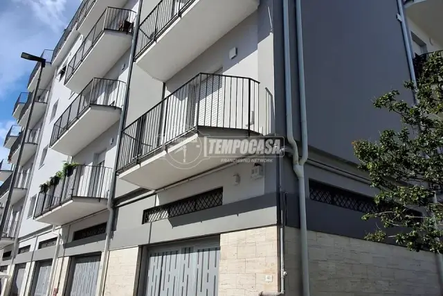 insertion image