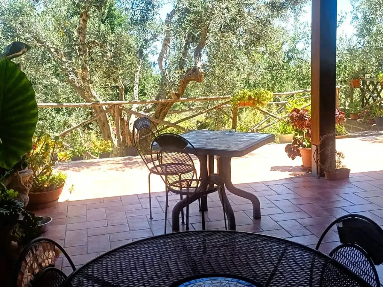Esercizio commerciale in Contrada San Gregorio Magno, Cupra Marittima, {3} - Foto 2