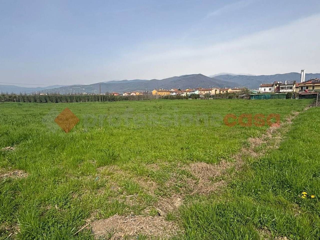 immagine annuncio 2 di 7