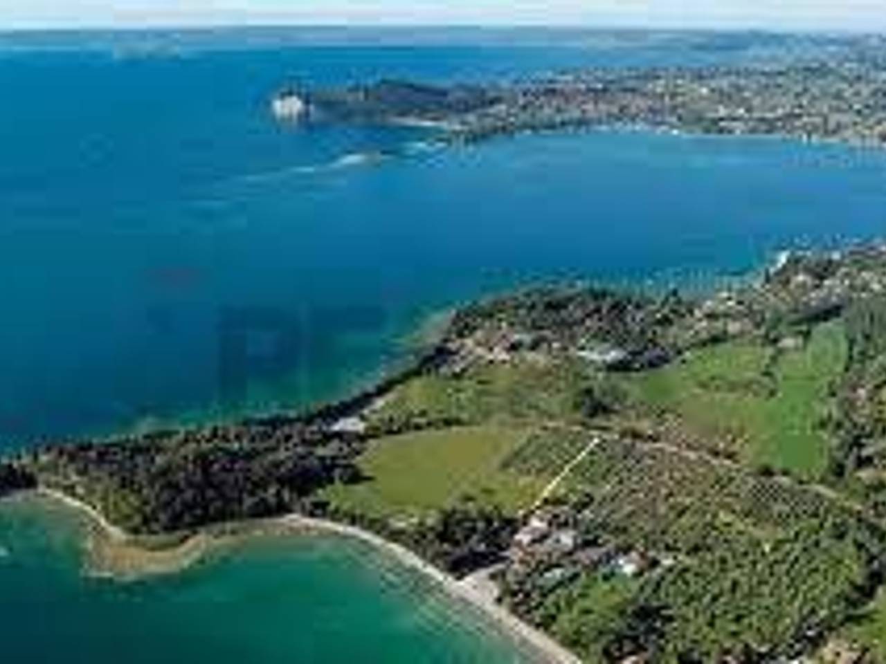 immagine annuncio 4 di 11