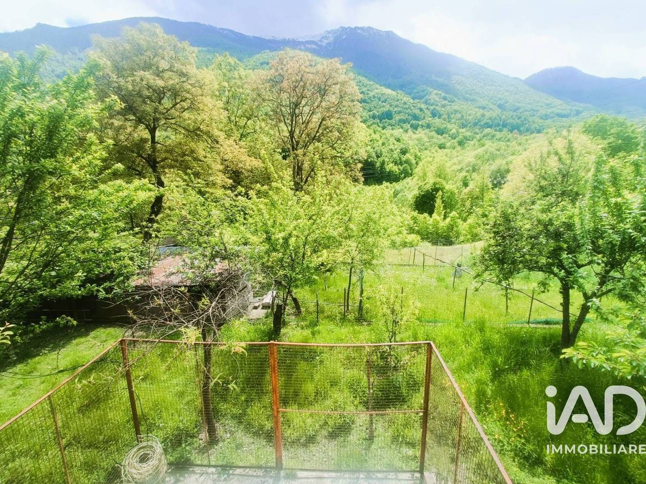 immagine annuncio 6 di 15