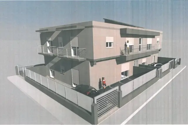 insertion image