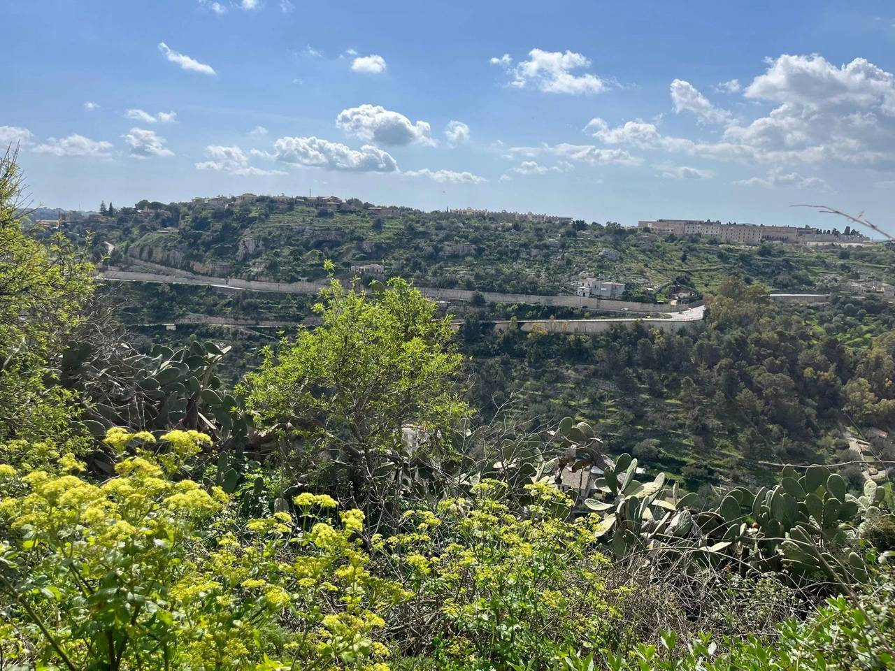 immagine annuncio 3 di 14