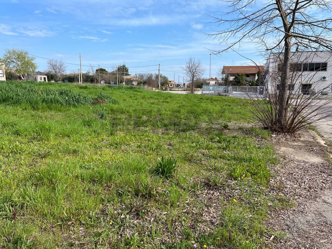 immagine annuncio 6 di 8