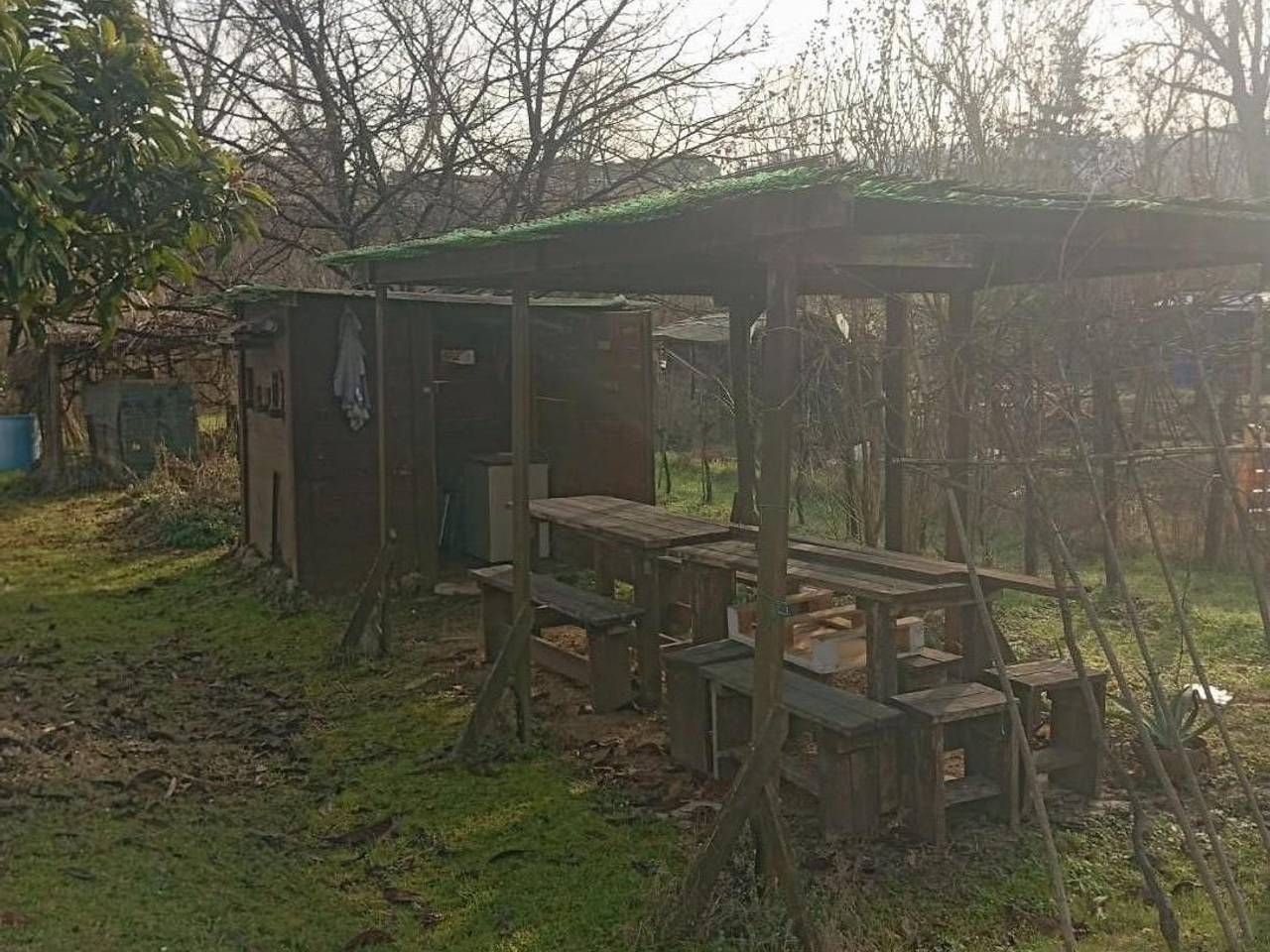 immagine annuncio 2 di 4