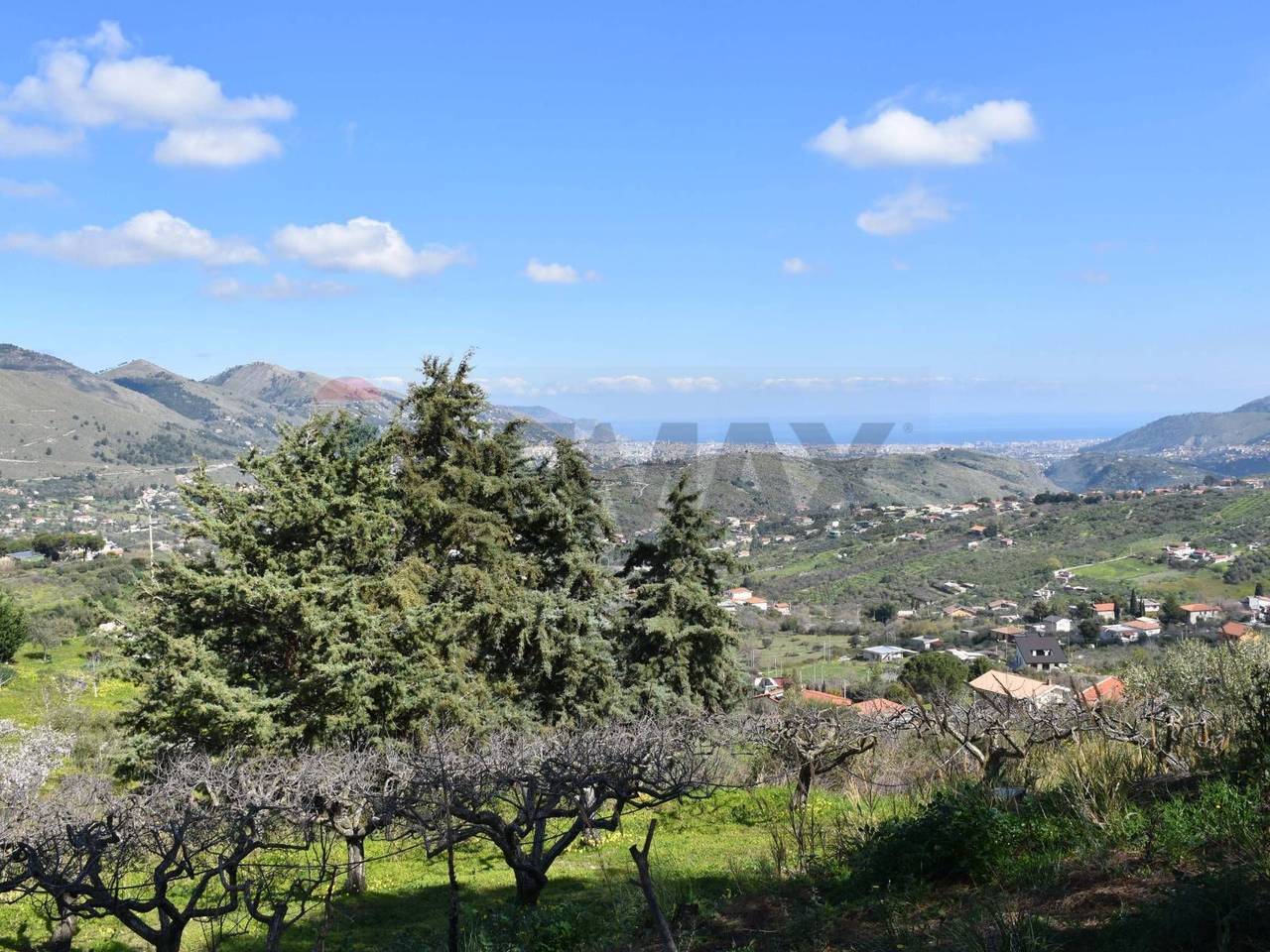 immagine annuncio 3 di 14