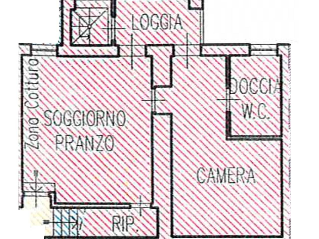 immagine annuncio 4 di 14