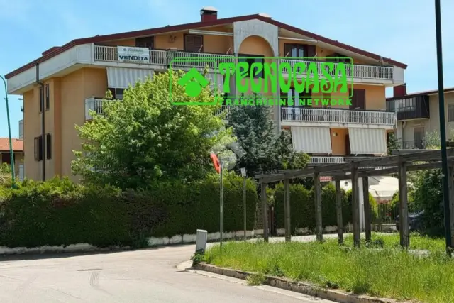 insertion image