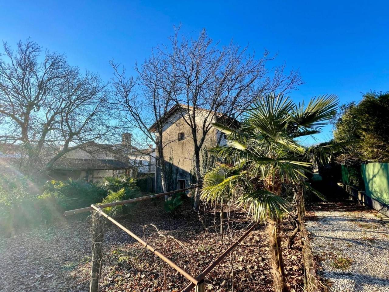 immagine annuncio 1 di 12