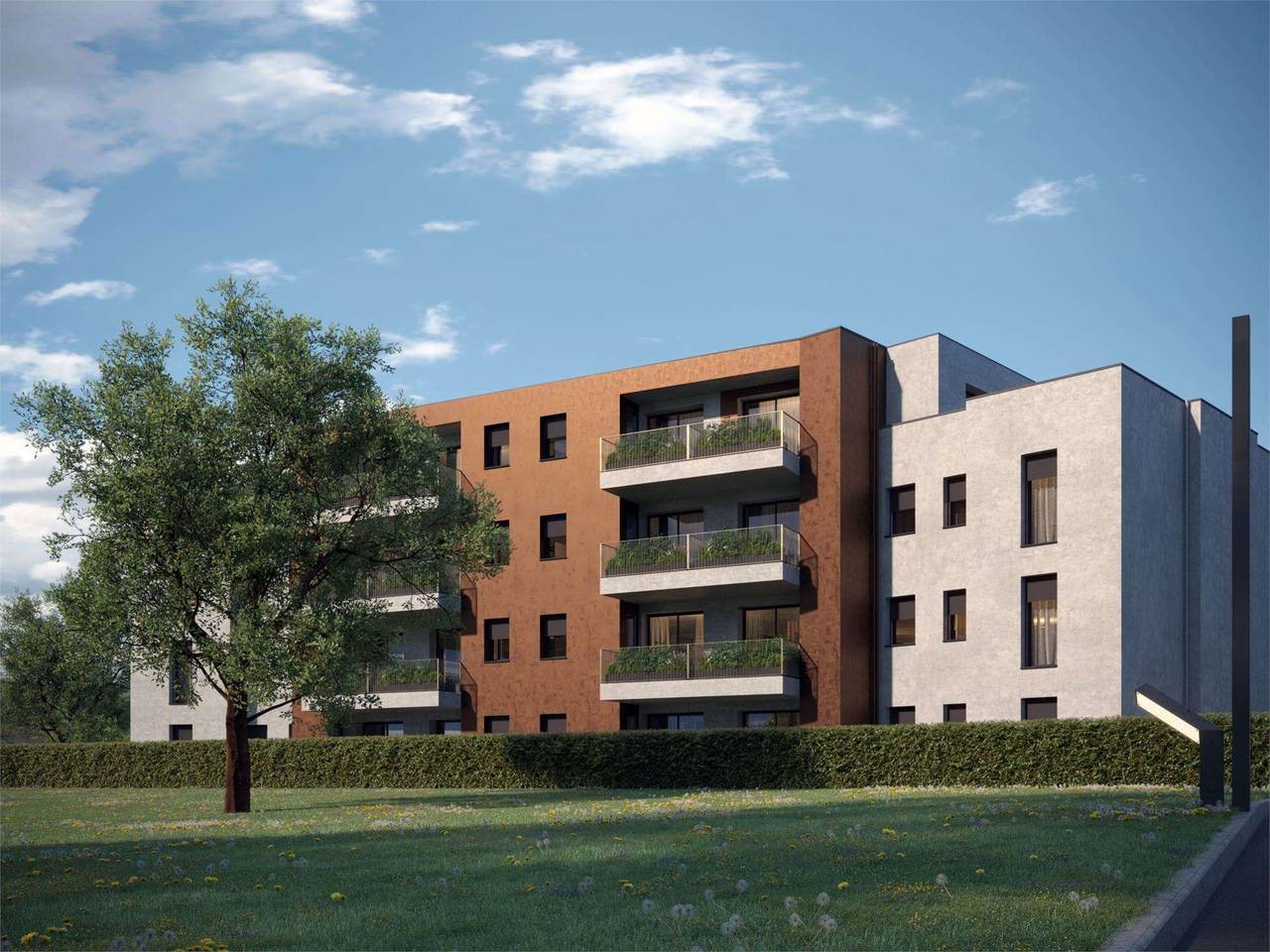 immagine annuncio 8 di 15