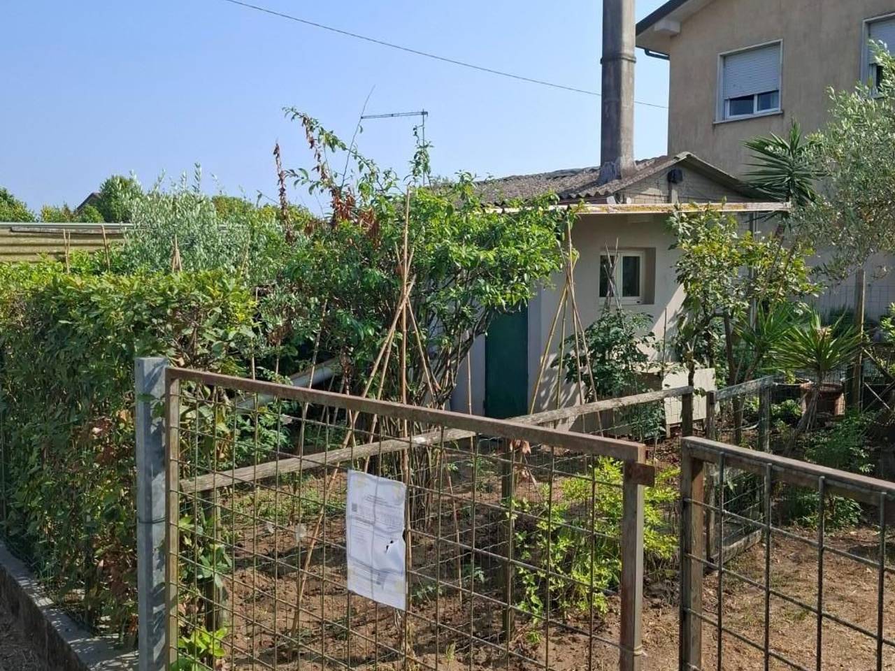 immagine annuncio 1 di 8