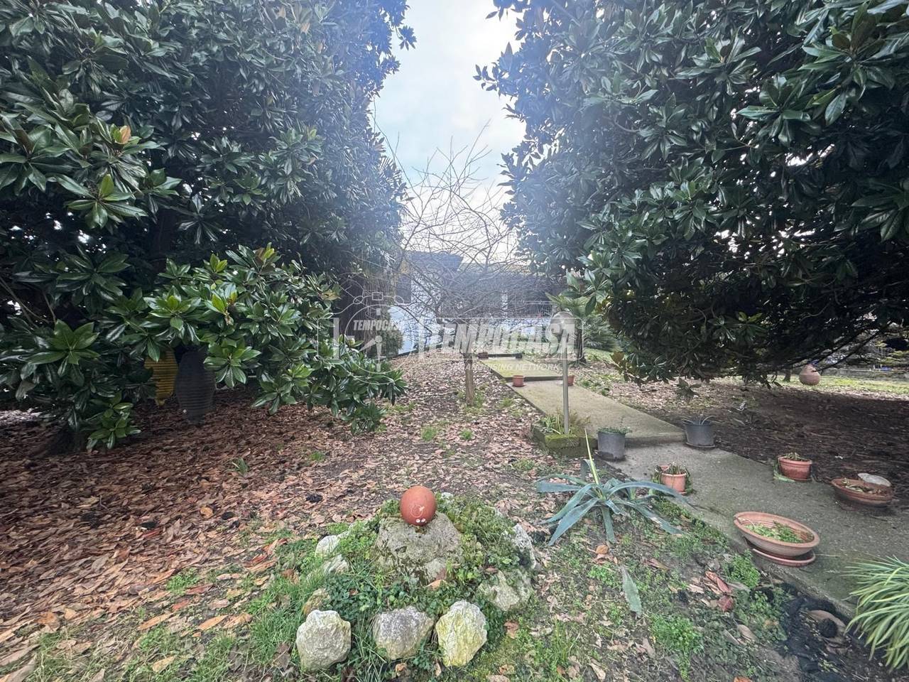 immagine annuncio 4 di 14