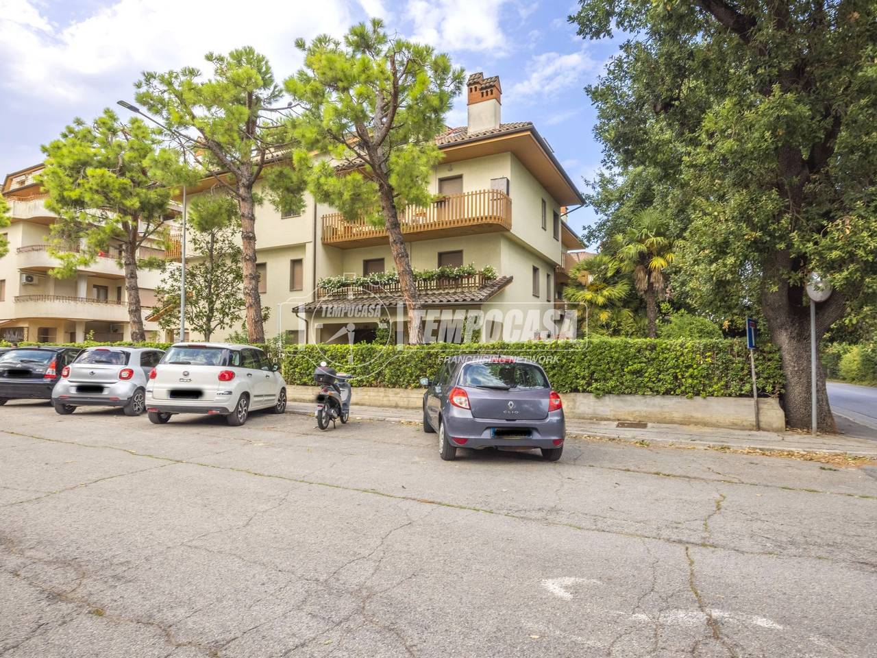 immagine annuncio 12 di 14