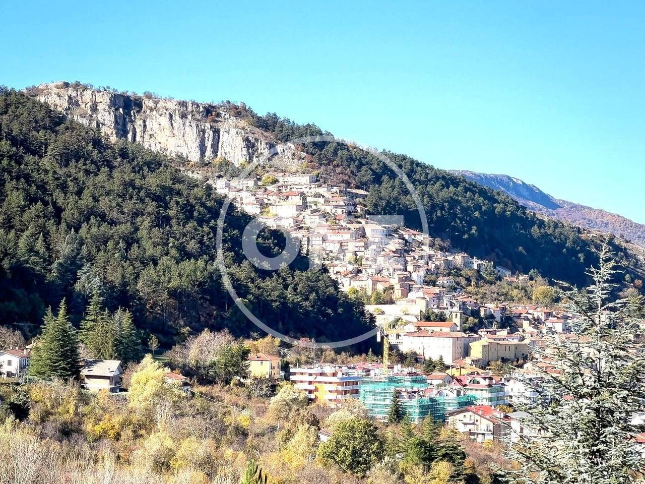 immagine annuncio 10 di 12