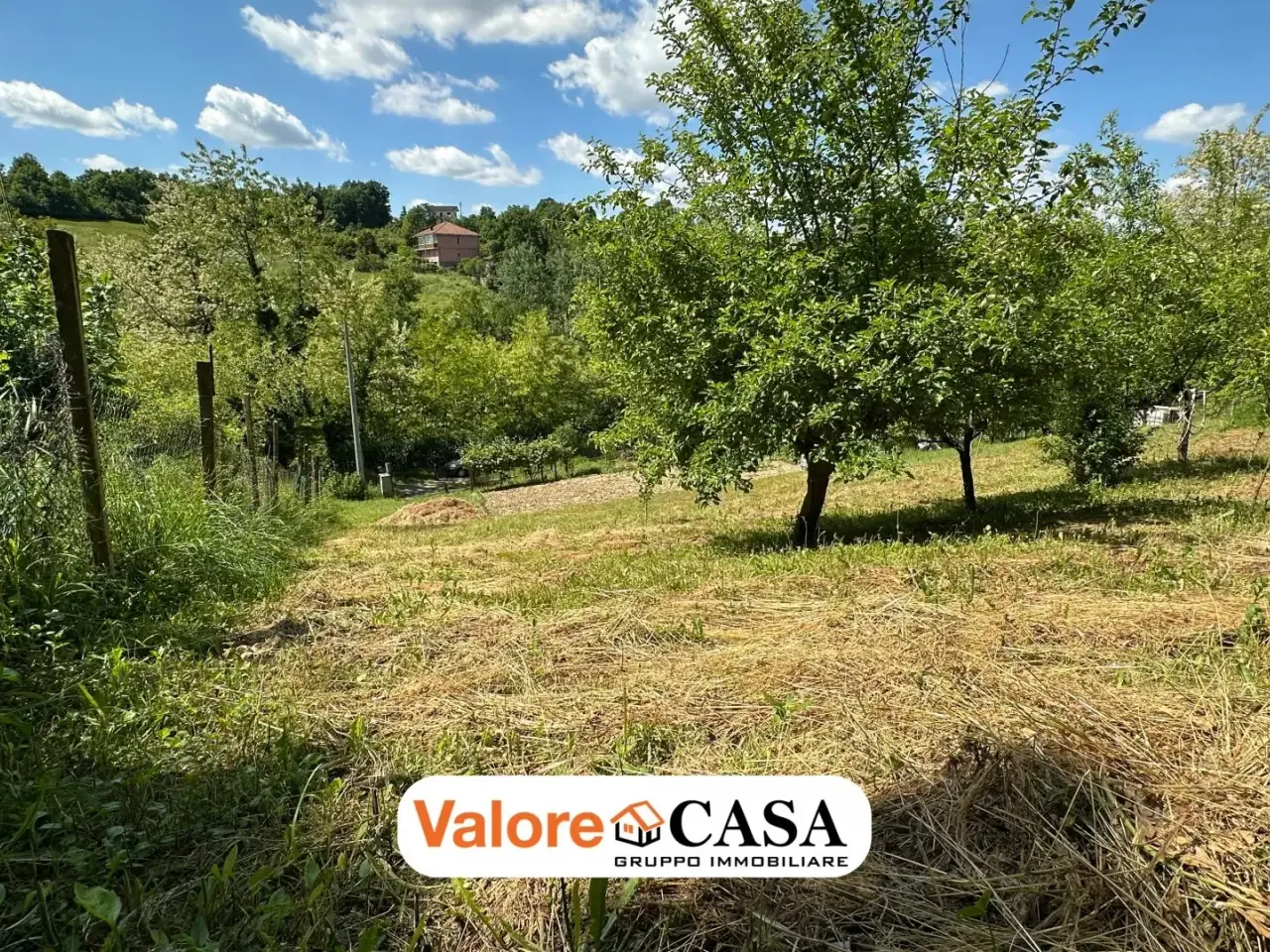 Magazzino in , Visone, {3} - Foto 2