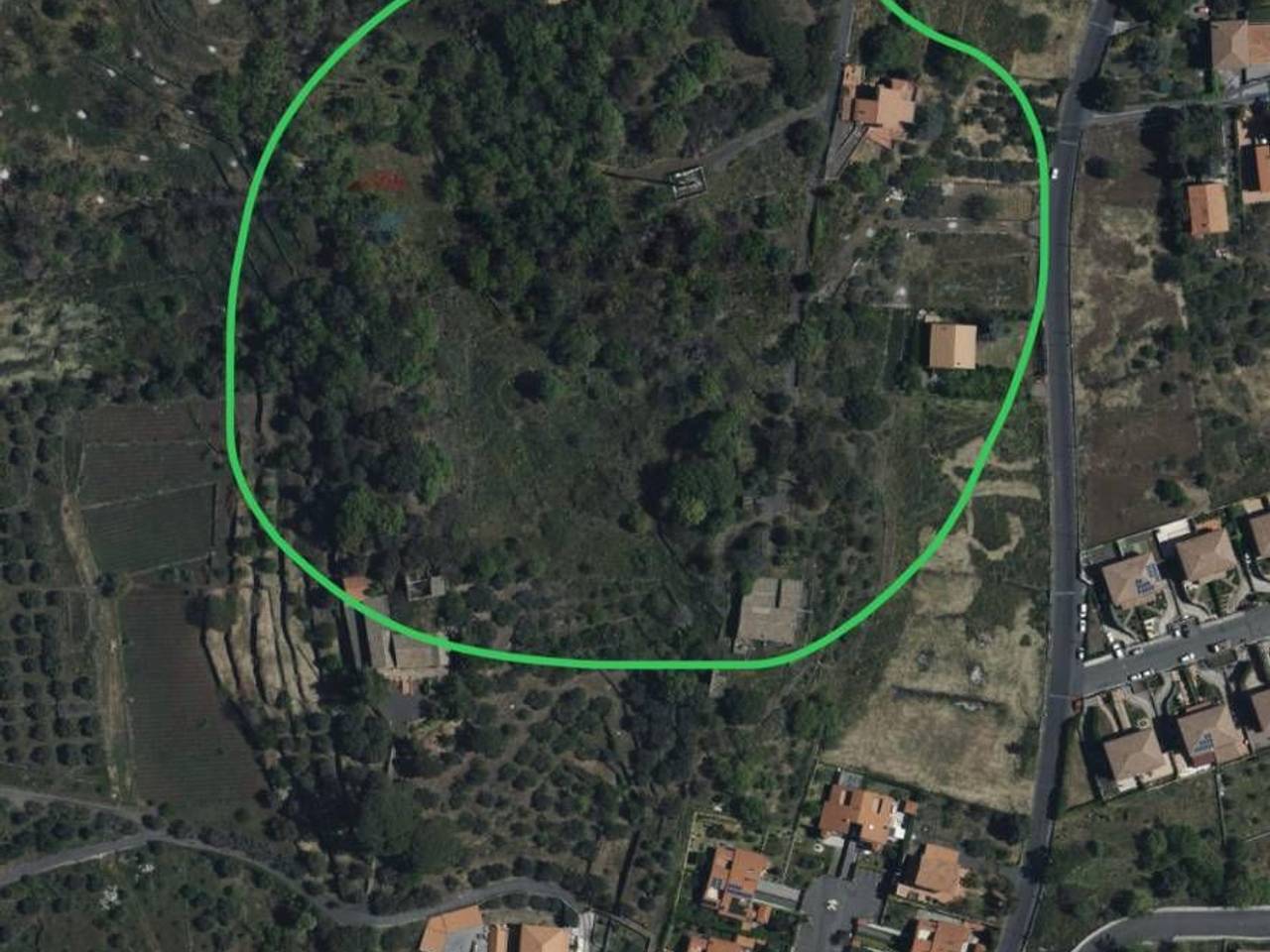 immagine annuncio 2 di 3