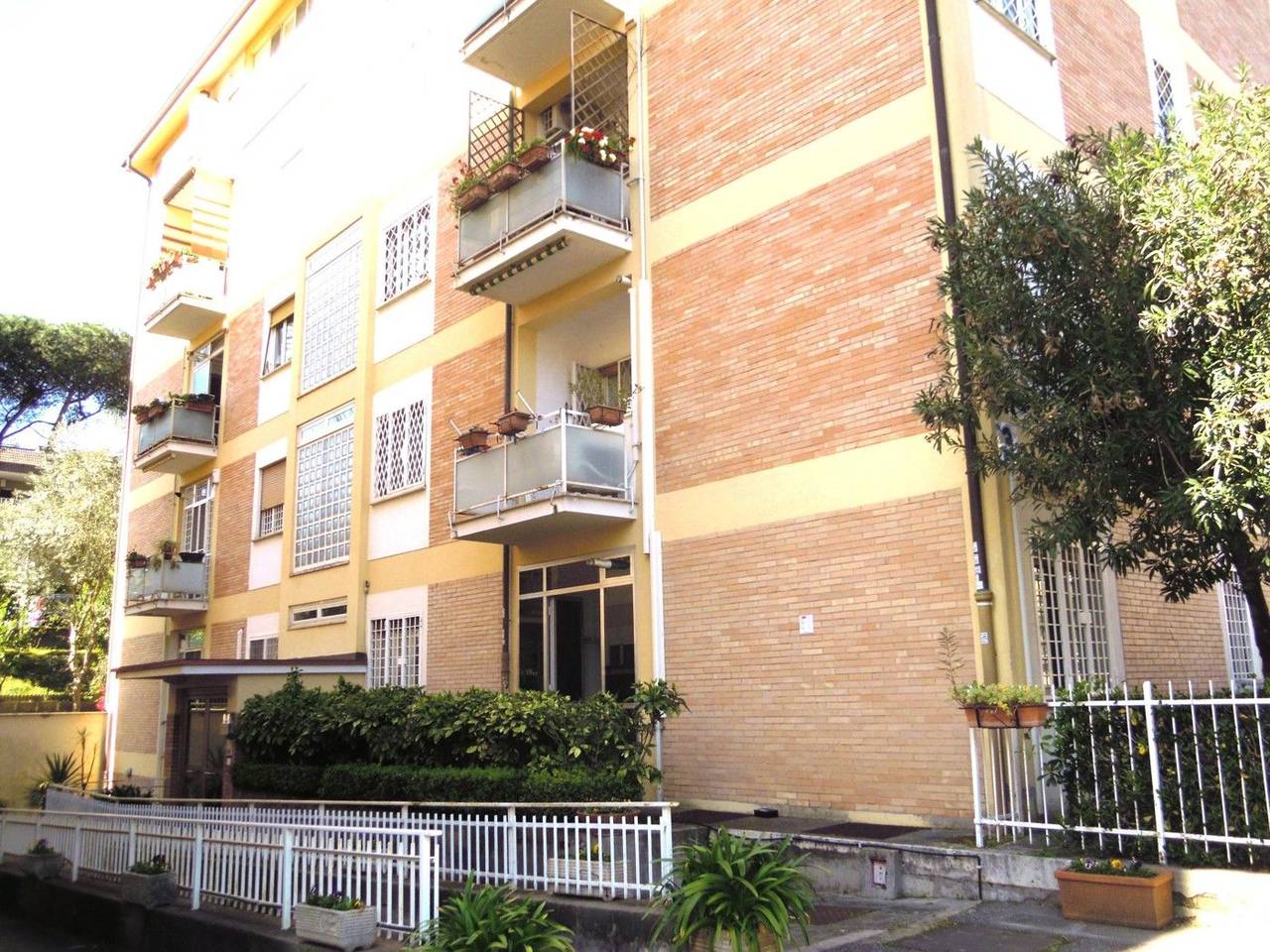 immagine annuncio 6 di 15