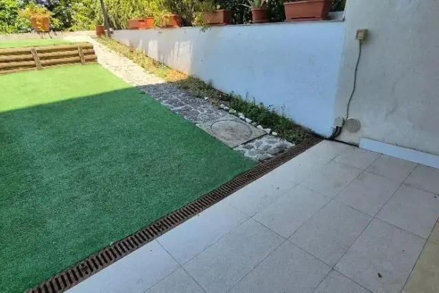 insertion image