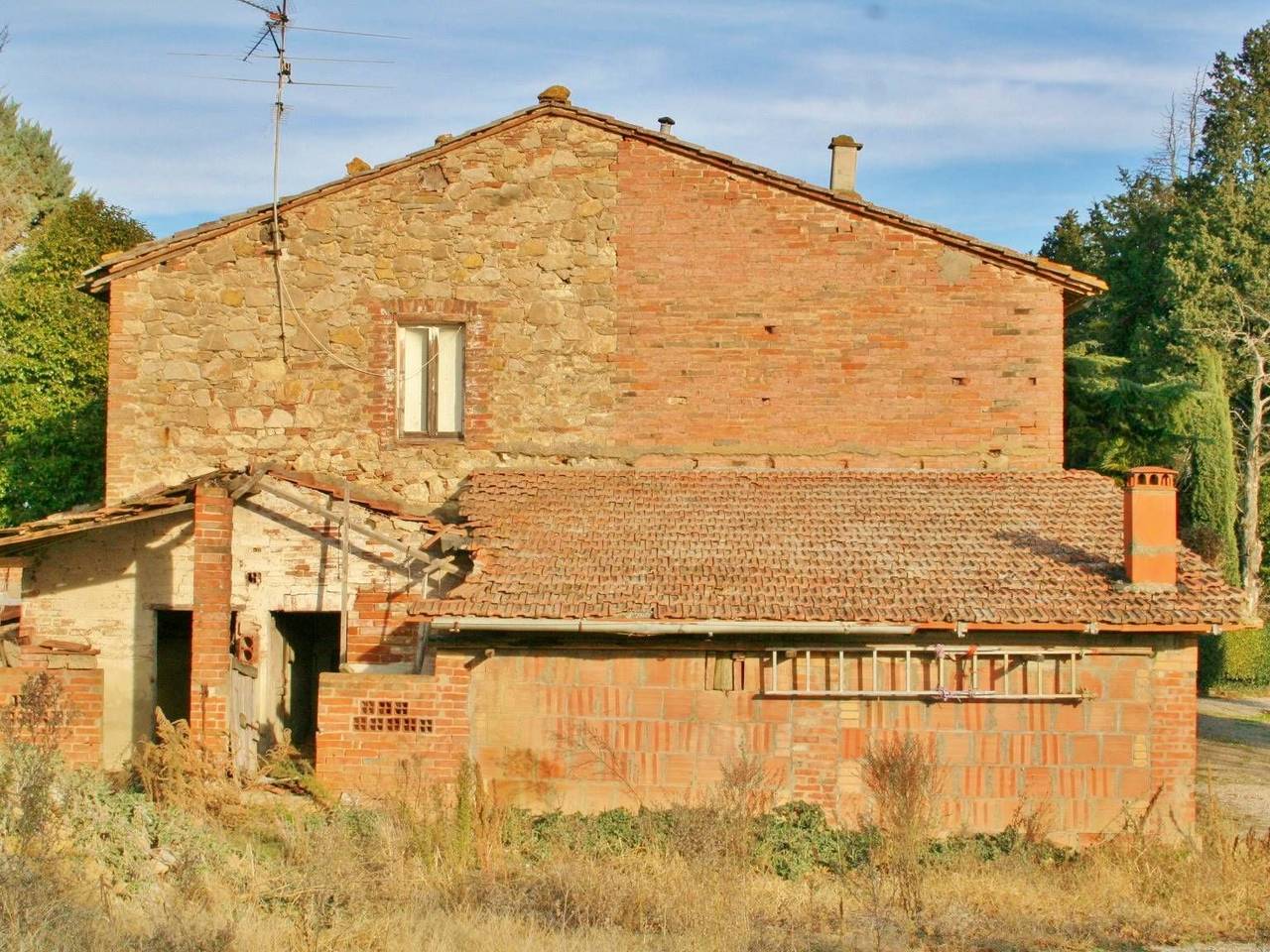 immagine annuncio 9 di 13