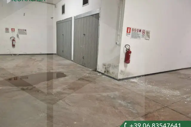 insertion image