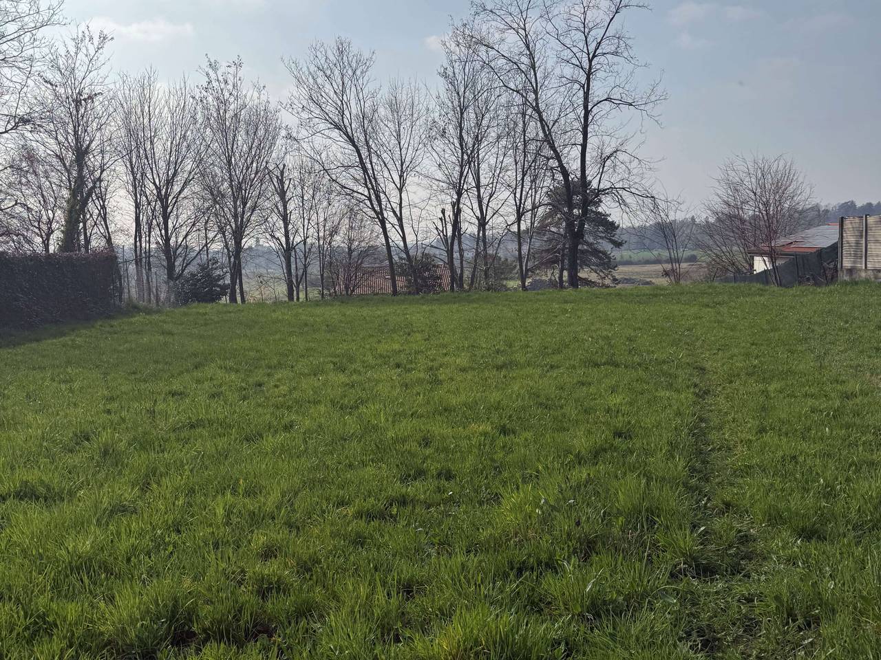 immagine annuncio 13 di 15